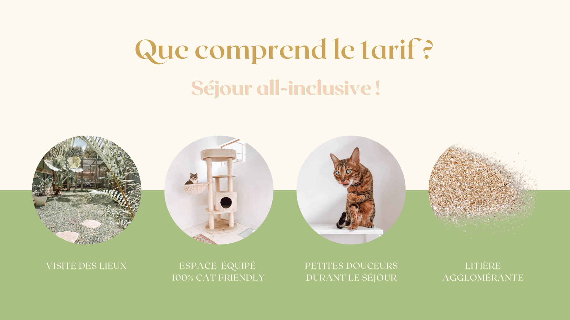 service de garde de chat