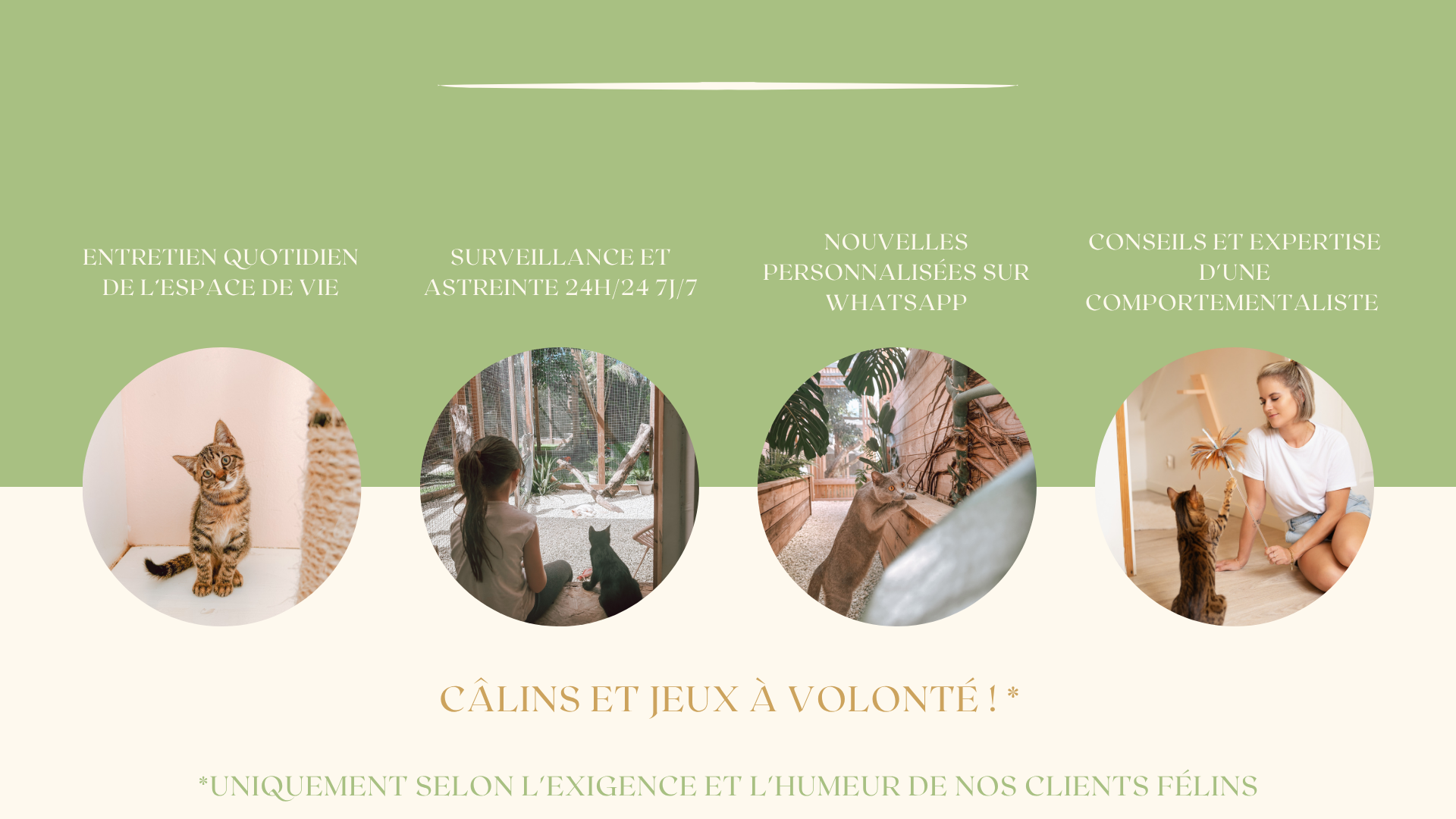 service de garde de chat