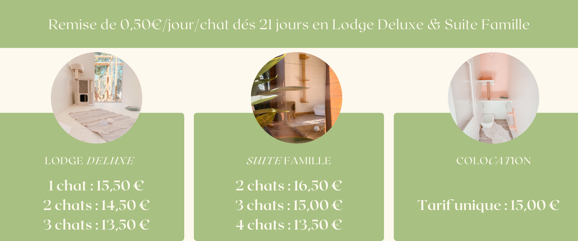 Tarifs garde chat la réunion 974