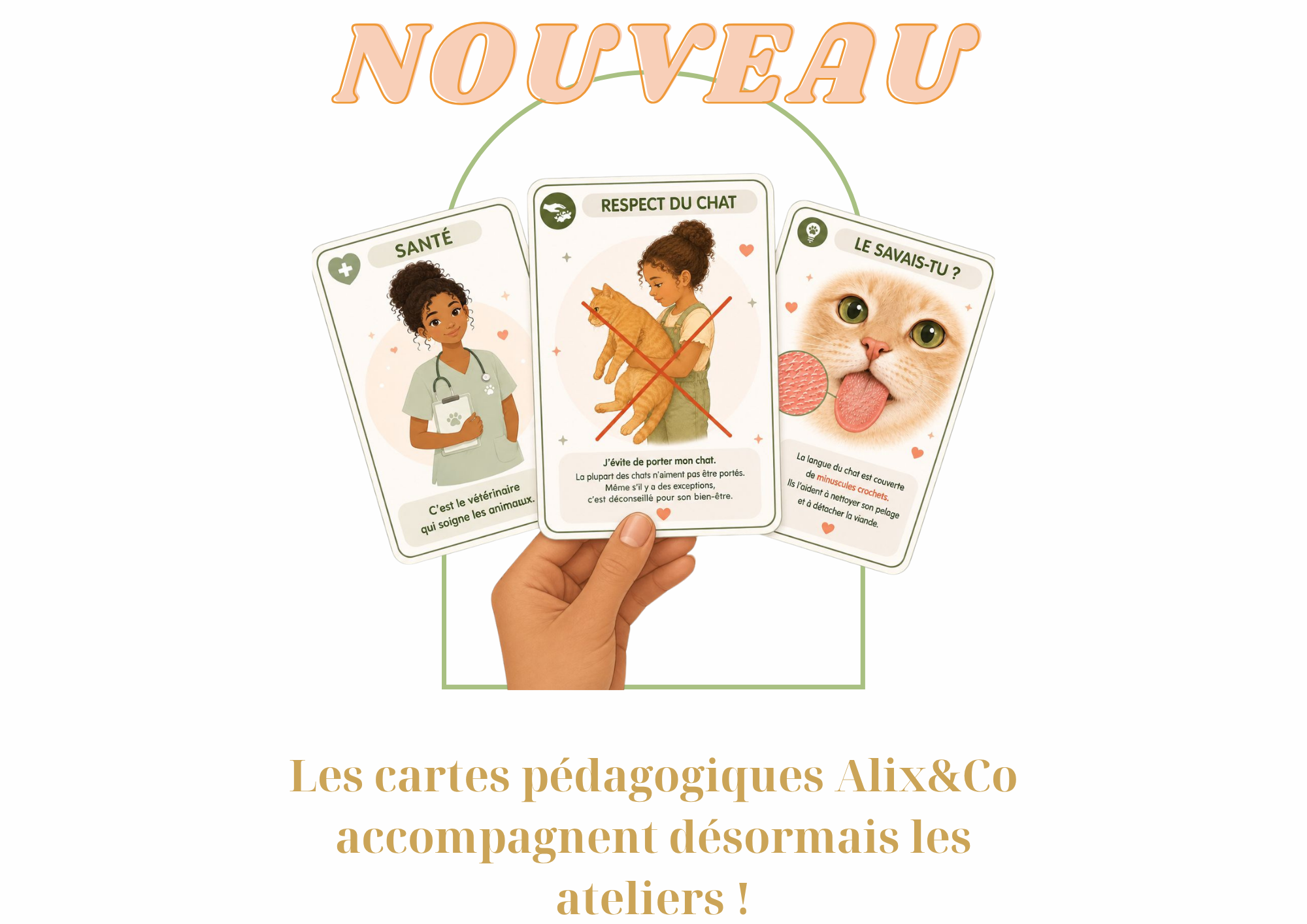 cartes pédagogiques bien etre animal enfant chat 974